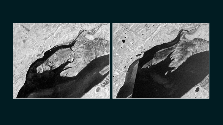 From Baseline to Action: What Routine SAR Basemaps Make Possible