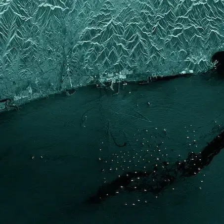 SAR Data Strip mode image