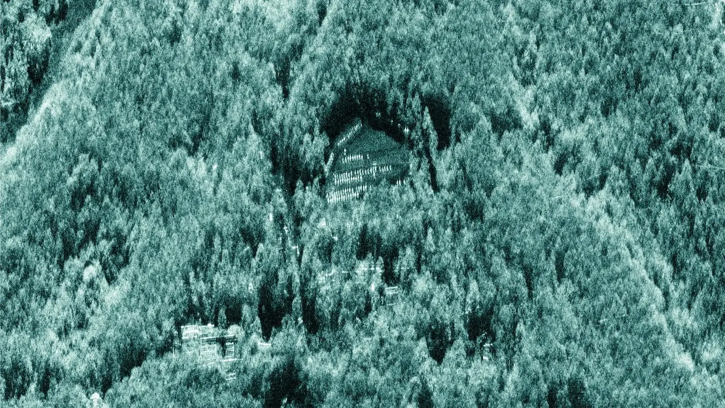 Dwell image of forest animation