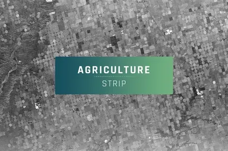 Coperland KS Brawley Ca US